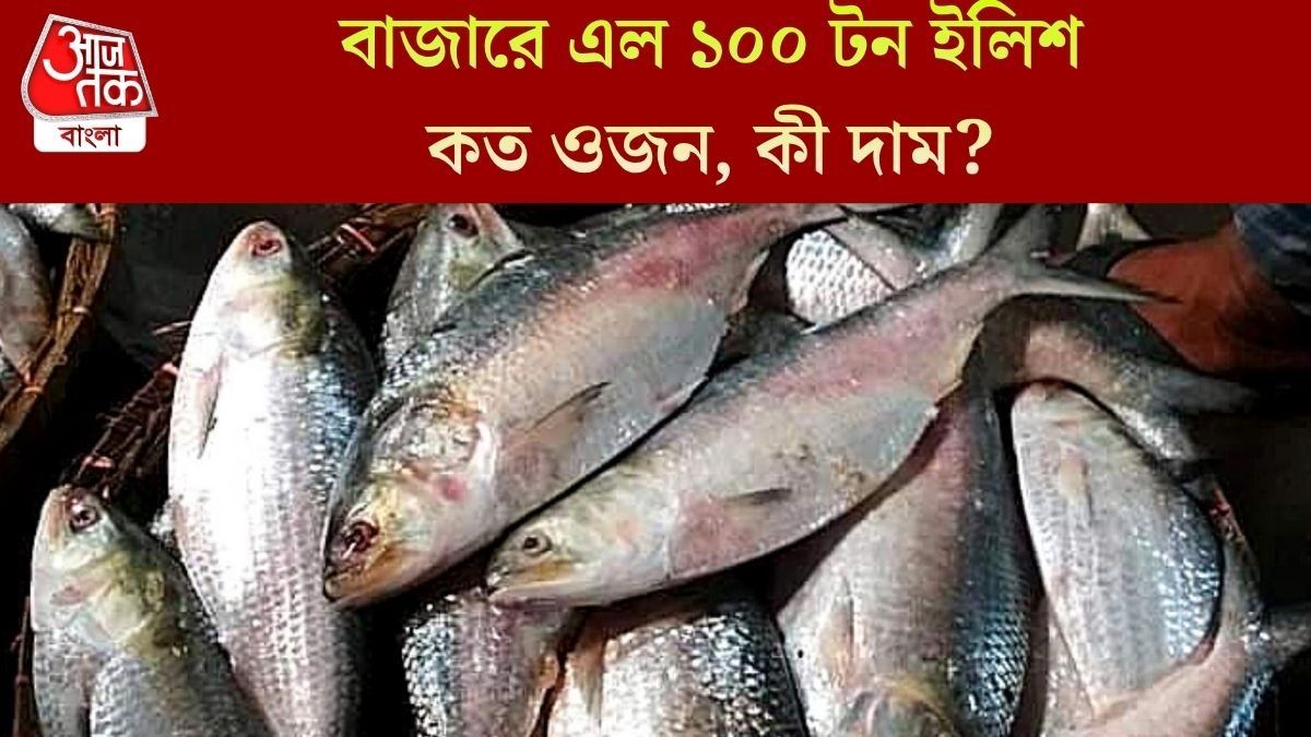  প্রায় ১০০ টন ইলিশ মাছ ঢুকল বাজারে, নতুন সপ্তাহেই দাম কমছে? বড় আপডেট