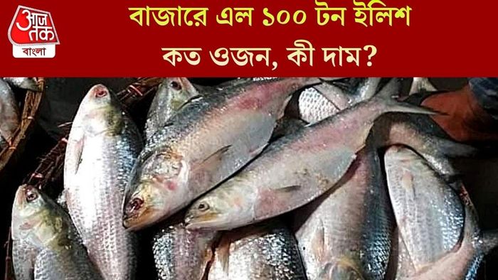 বাজারে এল ১০০ টন ইলিশ