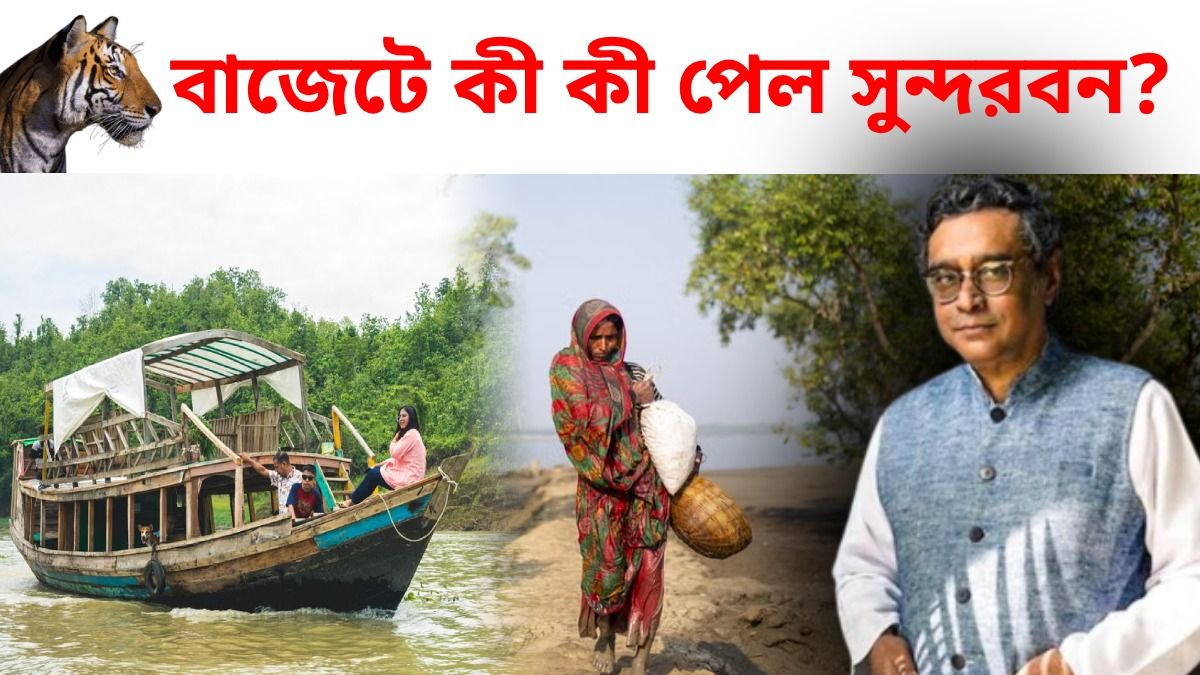 বাজেটে সুন্দরবনের জন্য বড় ঘোষণা