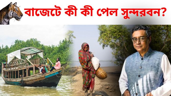 বাজেটে সুন্দরবনের জন্য বড় ঘোষণা