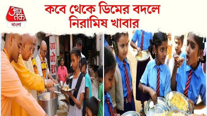 মিড ডে মিল