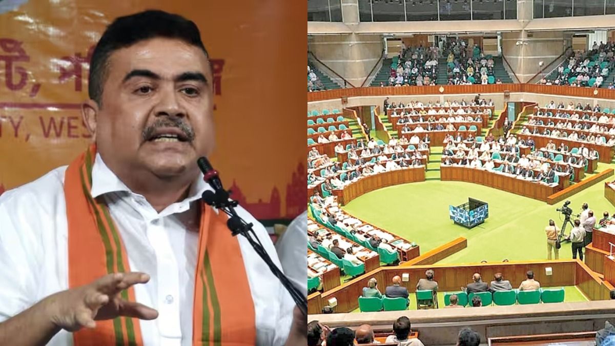 'শুভেন্দুবাবুকে সামলান,' বাংলাদেশে BNP সাংসদের দাবি ঘিরে শোরগোল