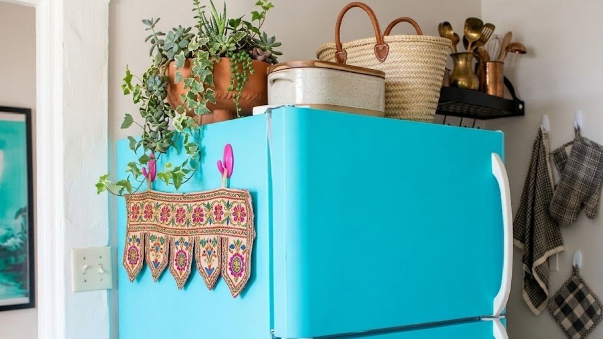 Fridge Vastu Tips For Wealth: ফ্রিজের ওপর এই জিনিসগুলি রাখলে আর্থিক অনটন পিছু ছাড়ে না,  আজই সরিয়ে ফেলুন