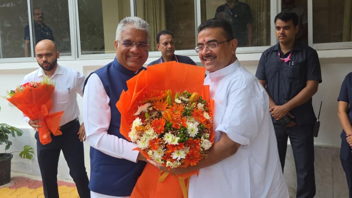 বাংলায় একাধিক জায়গায় বাঘ ছাড়ার সম্ভাবনা, ঠিক কী প্ল্যান? বড় ইঙ্গিত পরিবেশমন্ত্রীর