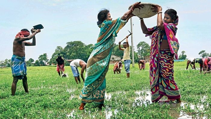 ১২৫ দিনের কাজে মজুরি বৃদ্ধি