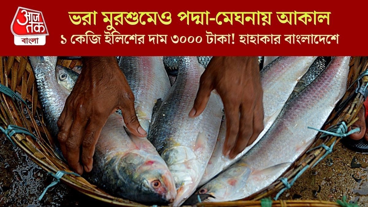 ভরা মরশুমে বাংলাদেশে ইলিশের আকাল, কেন এই পরিস্থিতি?