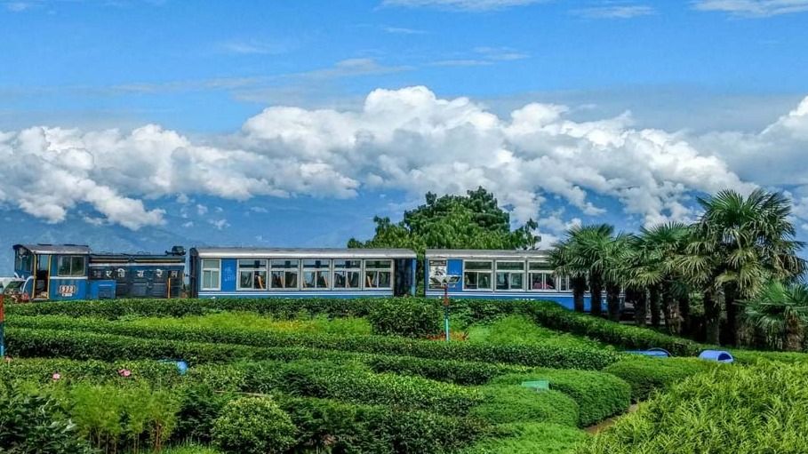 শিলিগুড়ি-দার্জিলিং টয়ট্রেন আপাতত বন্ধ, ফের কবে চালু হতে পারে?