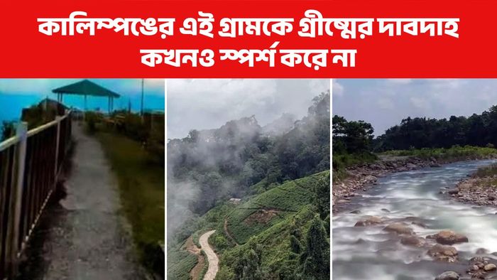 Kalimpong Jhandi Tourism: এই গরমেও ঘন কুয়াশায় ঢাকা, কালিম্পঙের ঝাণ্ডি যেন অন্য জগত