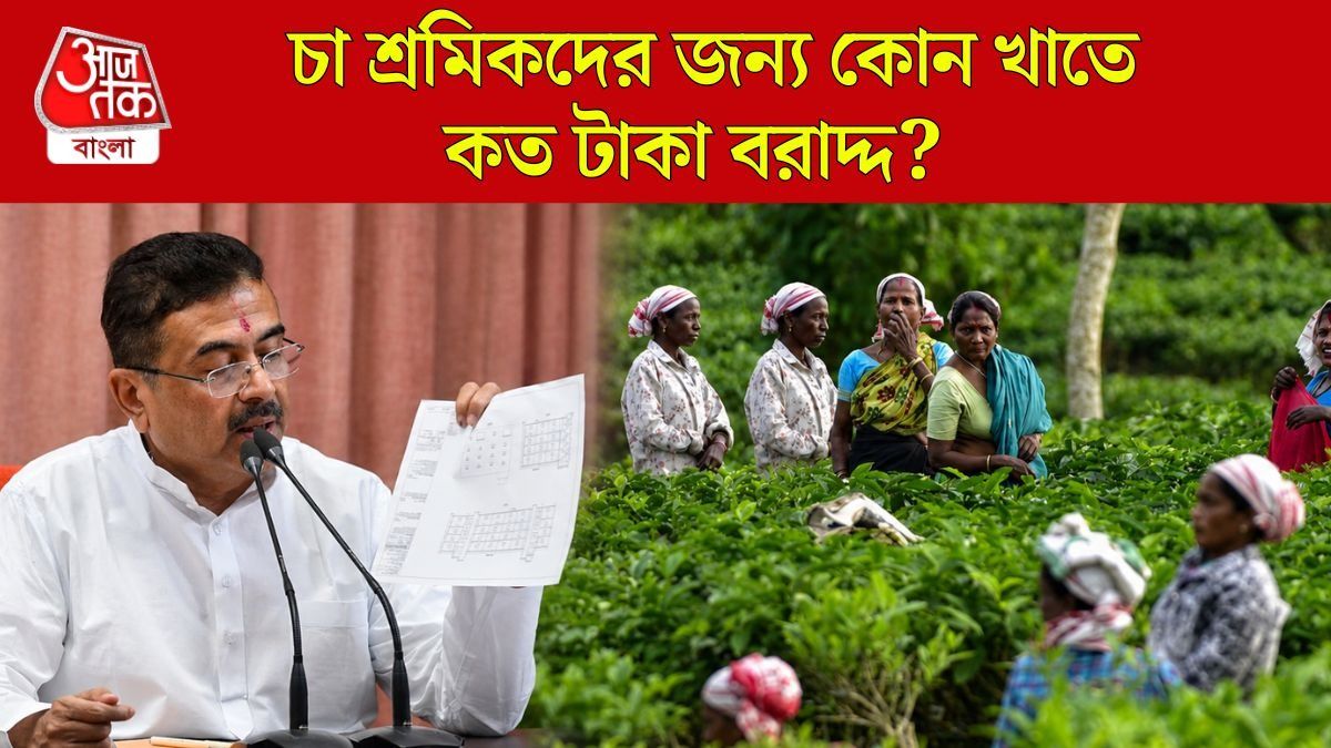চা শ্রমিকদের জন্য বরাদ্দ ৩১৩ কোটি, শিক্ষা-স্বাস্থ্যের হিসেব দিলেন শুভেন্দু