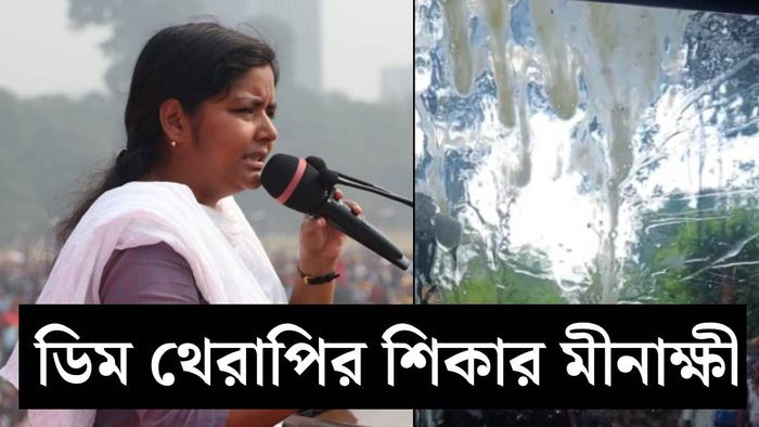 মীনাক্ষীর গাড়ি লক্ষ্য করে উড়ে এল ডিম