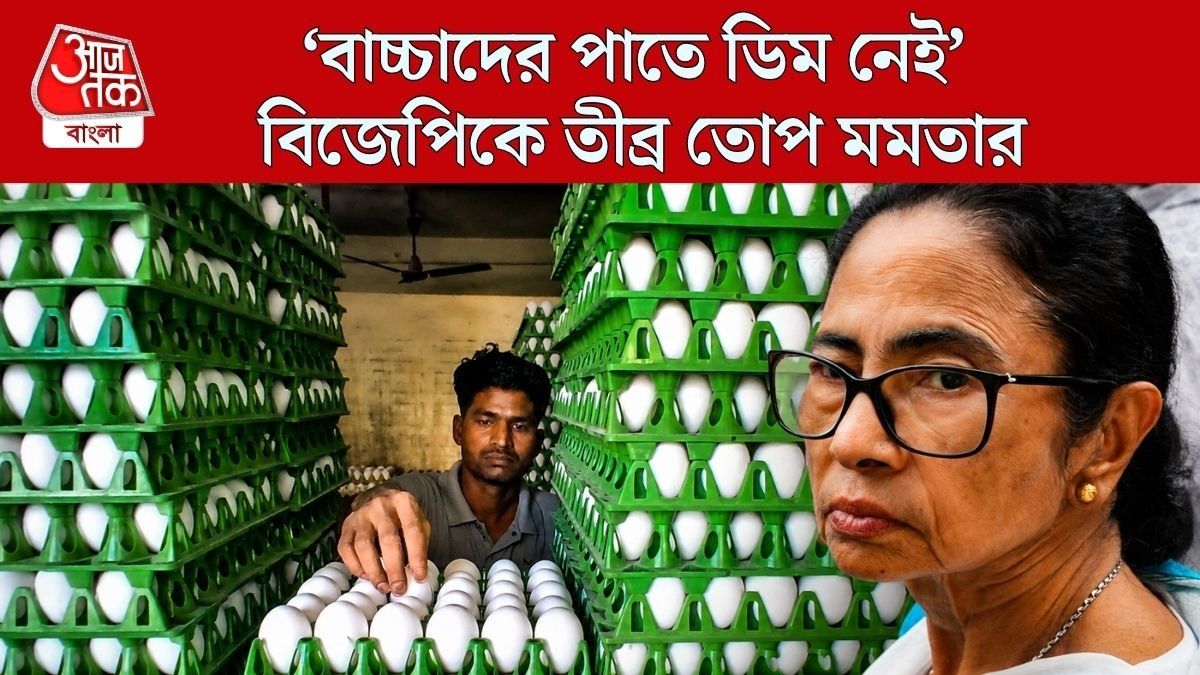 বিজেপিকে তীব্র তোপ মমতার