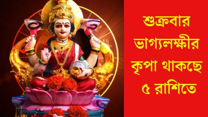 শুক্রবার ভাগ্যলক্ষীর কৃপা থাকছে ৫ রাশিতে