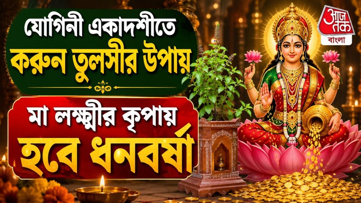 Yogini Ekadashi Tulsi Upay: যোগিনী একাদশীতে করুন তুলসীর এই উপায়, মা লক্ষ্মীর কৃপায় বিপুল অর্থলাভ হবে