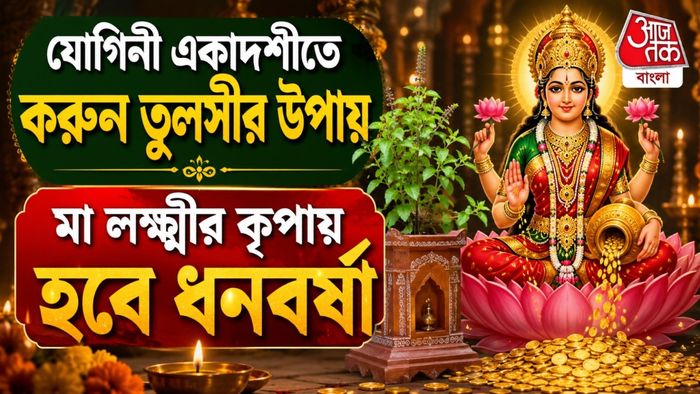 Yogini Ekadashi Tulsi Upay: যোগিনী একাদশীতে করুন তুলসীর এই উপায়, মা লক্ষ্মীর কৃপায় বিপুল অর্থলাভ হবে