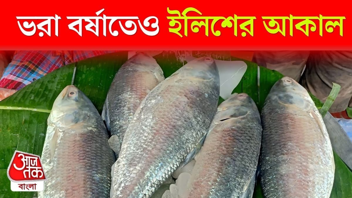 ভরা বর্ষাতেও ইলিশ উঠছে না, ভরসা সেই হিমঘর, বাজারে দাম কেমন?