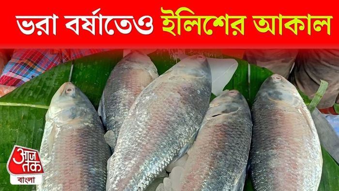ইলিশের দাম কত?
