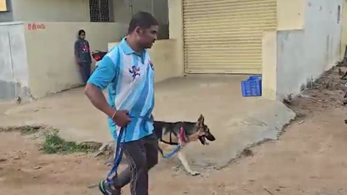 স্নিফার ডগ নিয়ে তলছে তল্লাশি।-ফাইল ছবি