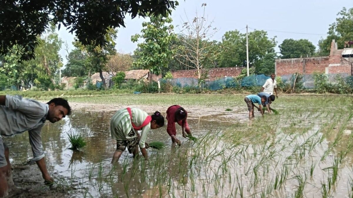 জুলাই পেরিয়েও অধরা ভরা বর্ষা!