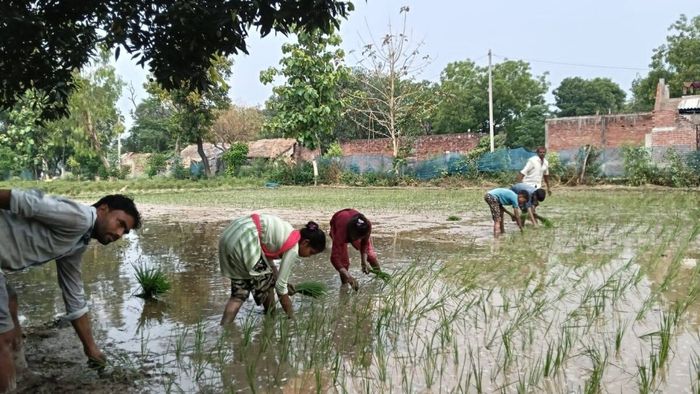 জুলাই পেরিয়েও অধরা ভরা বর্ষা!