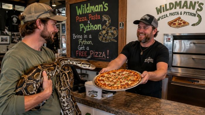 Florida Restaurant Free Python Pizza: অজগর আনলেই মিলবে গরম গরম ফ্রি পিৎজা, খদ্দের টানতে রেস্তোরাঁর আজব অফার
