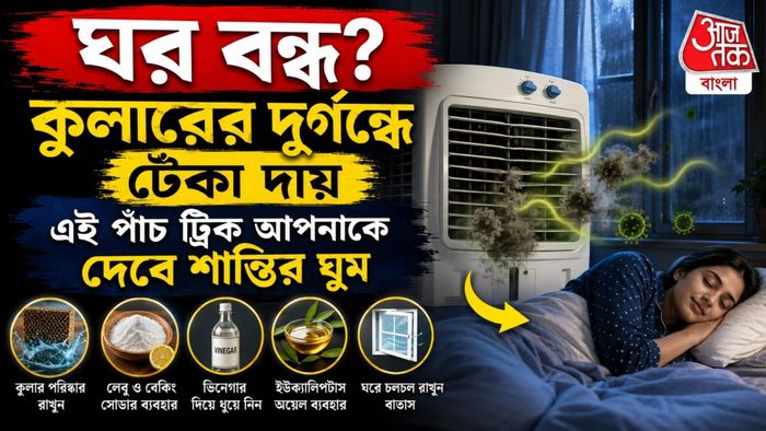 Remove Bad Smell From Cooler: বন্ধ ঘরে কুলারের দুর্গন্ধে দমবন্ধ? ঠান্ডা হাওয়ায় ছড়াবে দারুণ সুগন্ধ, সিক্রেট ট্রিক জানুন