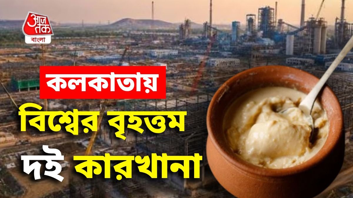 বাংলায় বিশ্বের বৃহত্তম দই কারখানা, রোজ কত উৎপাদন? কত লোকের চাকরি?