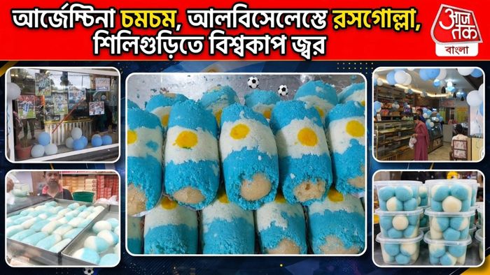 World Cup Fever Siliguri: দেদার বিকোচ্ছে নীল-সাদা মিষ্টি, শিলিগুড়ির দোকানে মিষ্টিমুখ মেসিভক্তদের