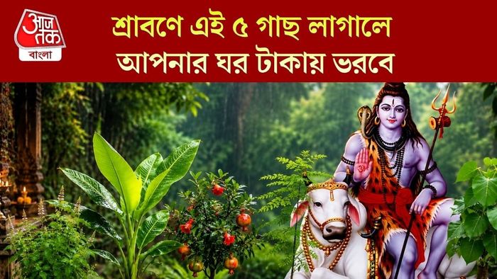 শ্রাবণে এই ৫ গাছ লাগালে আপনার ঘর টাকায় ভরবে