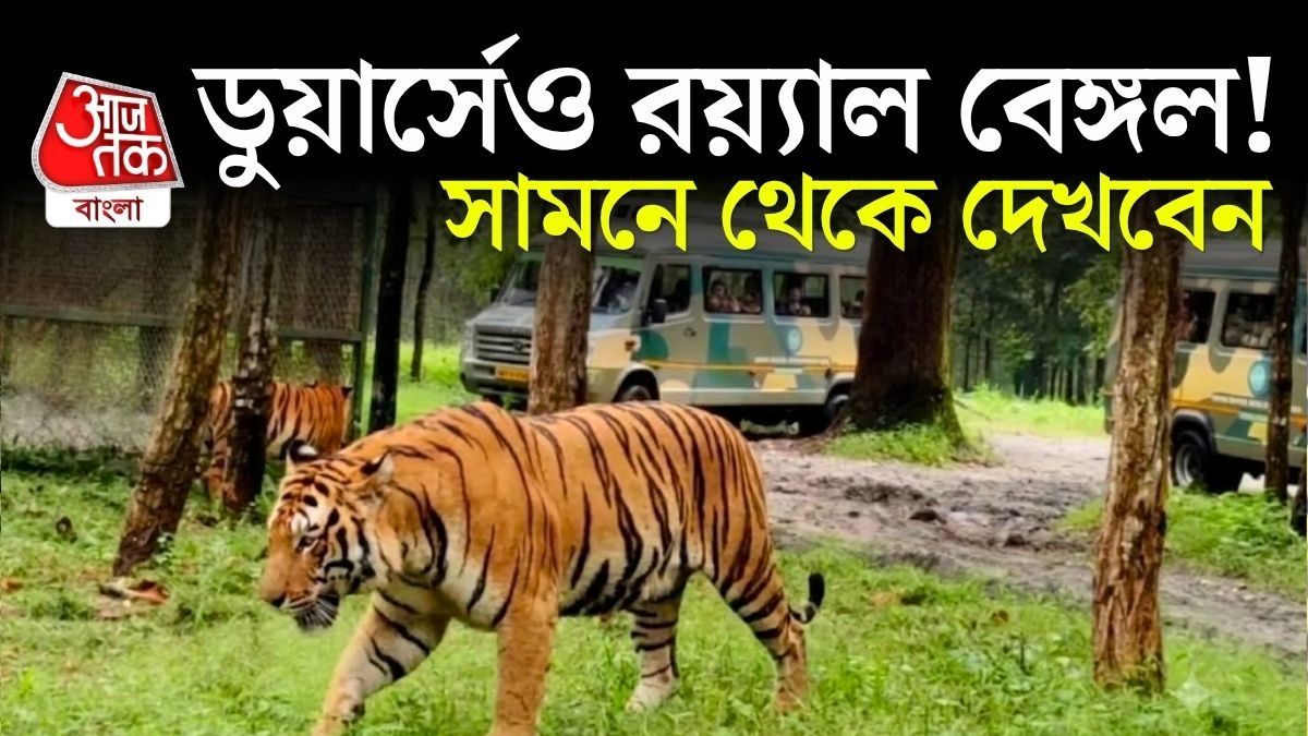 বক্সায় অক্টোবরে তো ১টি বাঘিনী ছাড়া হচ্ছে, আরও বাঘ কবে? জানালেন মন্ত্রী   
