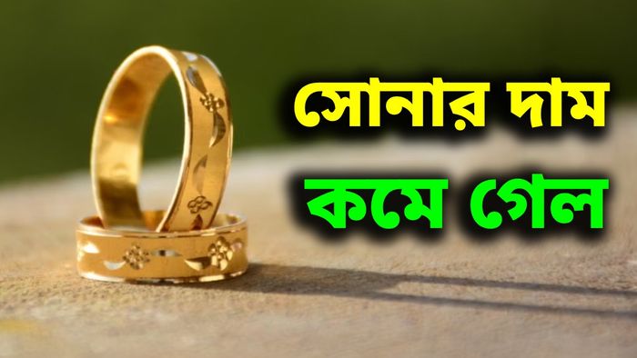 এক ধাক্কায় রেকর্ড সস্তা হল সোনা-রুপো