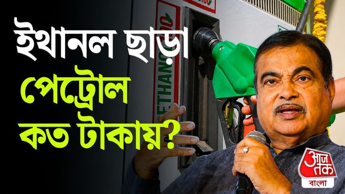 E20 পেট্রোল নিয়ে বড় কথা বললেন নিতিন গডকড়ি।