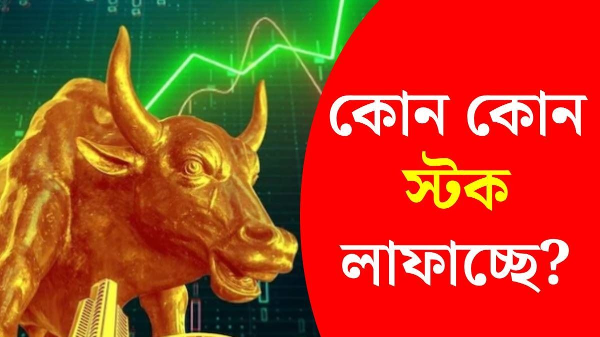 সেনসেক্স ও নিফটিতে লাফ