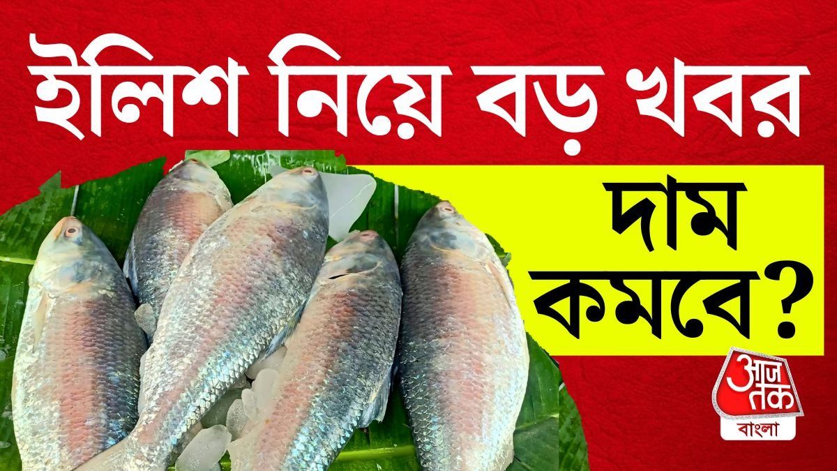 বড় মাছ তো দূর! 'খোকা' ইলিশই তো হাজারের কাছাকাছি, দাম কি কমবে? যা জানা যাচ্ছে
