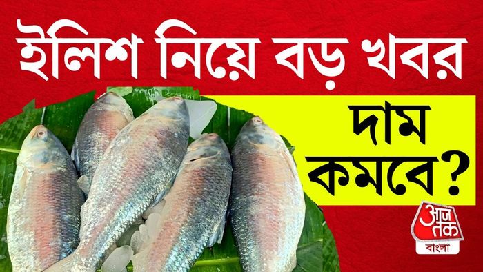 ভরা মরসুমেও এত চড়া দাম কেন?