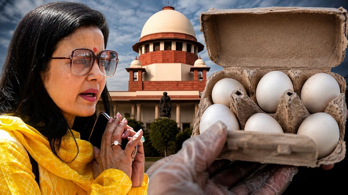'স্বাধীনতা সংগ্রামীরা বুক পেতে গুলি খেয়েছেন, আপনি সামান্য ডিমকে ভয় পাচ্ছেন?' মহুয়াকে সুপ্রিম কোর্ট