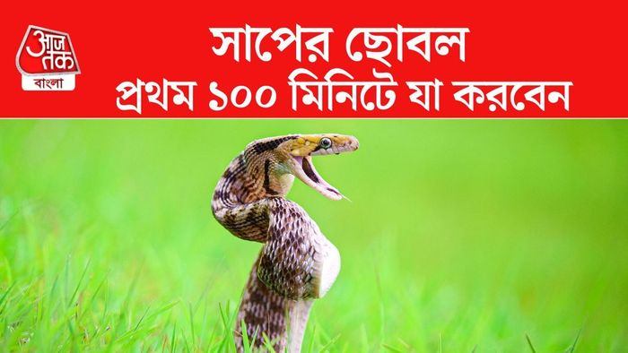 জমা জল, ভিজে ঘাস, ঝোপঝাড় কিংবা বাড়ির আশপাশের গর্তে সাপের আনাগোনা বেড়ে যায়।