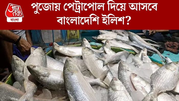 পুজোয় পেট্রাপোল দিয়ে আসবে বাংলাদেশি ইলিশ?