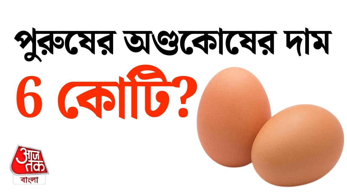 ইনস্টাগ্রাম রিল দেখে কোটি টাকায় অণ্ডকোষ বিক্রির লোভ, প্রাণ গেল নিরীহ কিশোরের 
