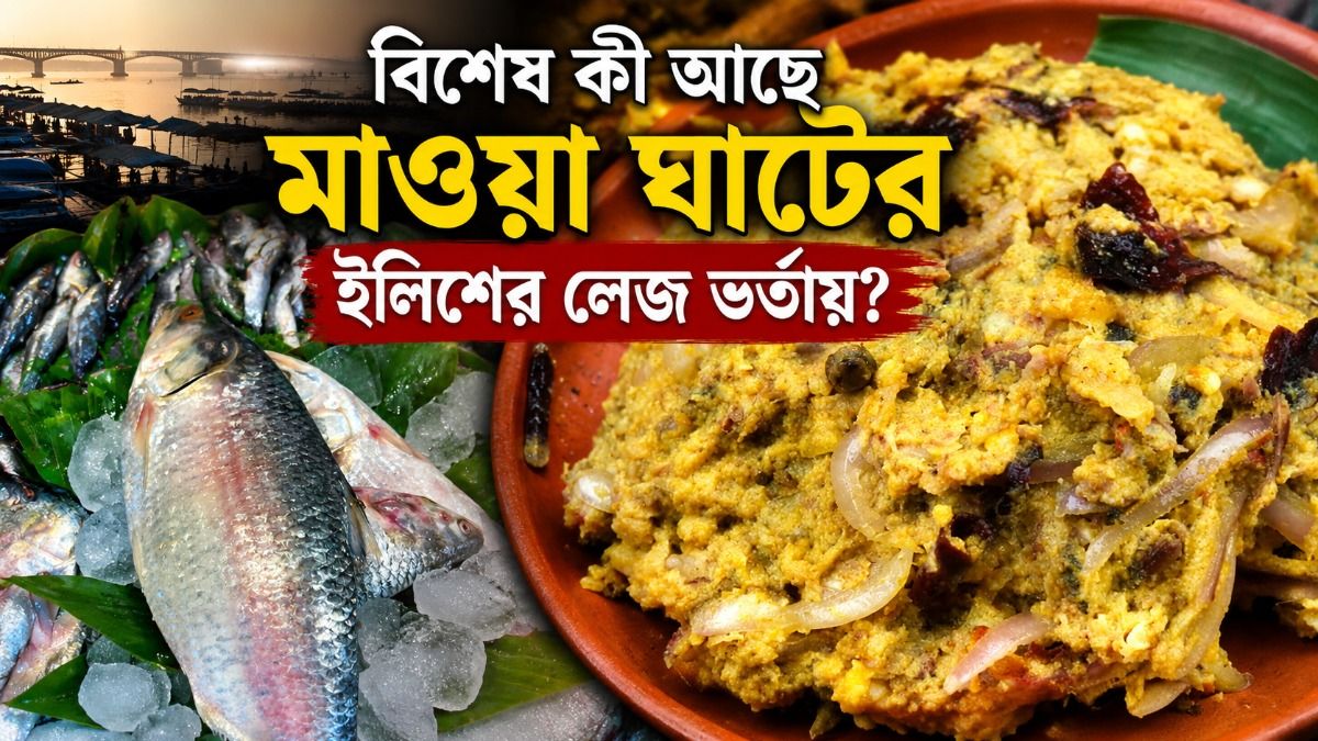 বিশেষ কী আছে মাওয়া ঘাটের ইলিশের লেজ ভর্তায়?