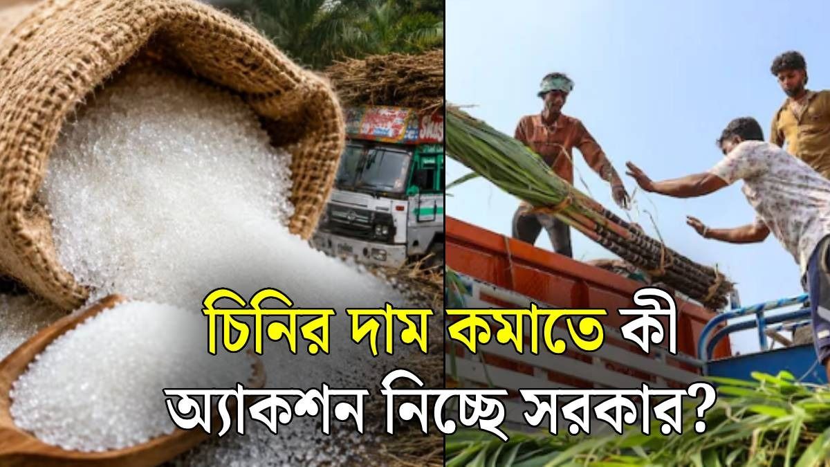 চিনির দামে রেকর্ড, E20 পেট্রোলই কি সমস্যার মূলে? জেনে নিন