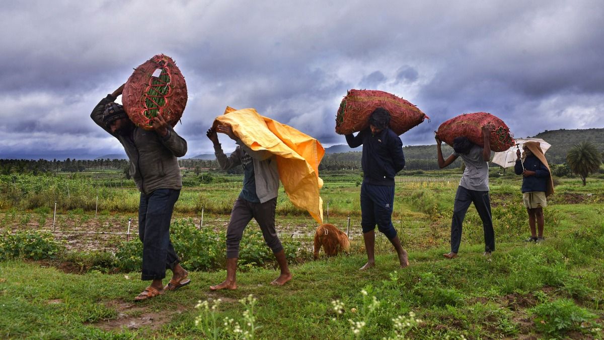 দেশের একাধিক অংশে বর্ষার ঘাটতি - PTI ফাইল ছবি