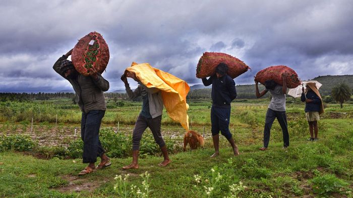 দেশের একাধিক অংশে বর্ষার ঘাটতি - PTI ফাইল ছবি