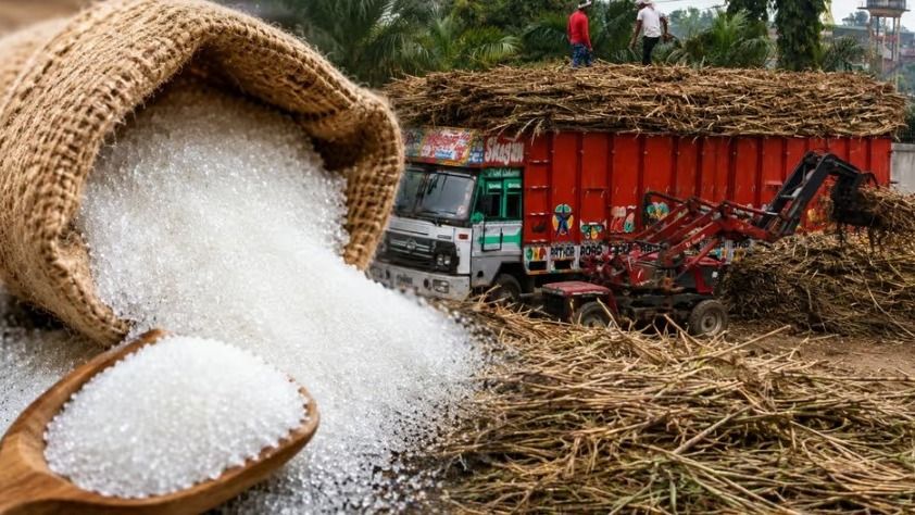 এক্স-মিল চিনির দাম ১৮% কমে গেল, দাবি কেন্দ্রের, খুচরো বাজারে কী হবে? যা জানা জরুরি