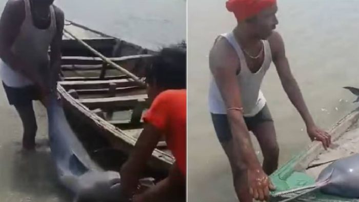 ডলফিন বাড়ি নিয়ে গিয়ে গ্রেফতার