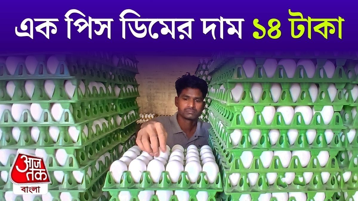৭ টাকার ডিম ১৪ টাকা, বাড়তে পারে আরও; গাড়ির ট্যাঙ্কে E20 যাওয়ার ফলেই যত কাণ্ড?