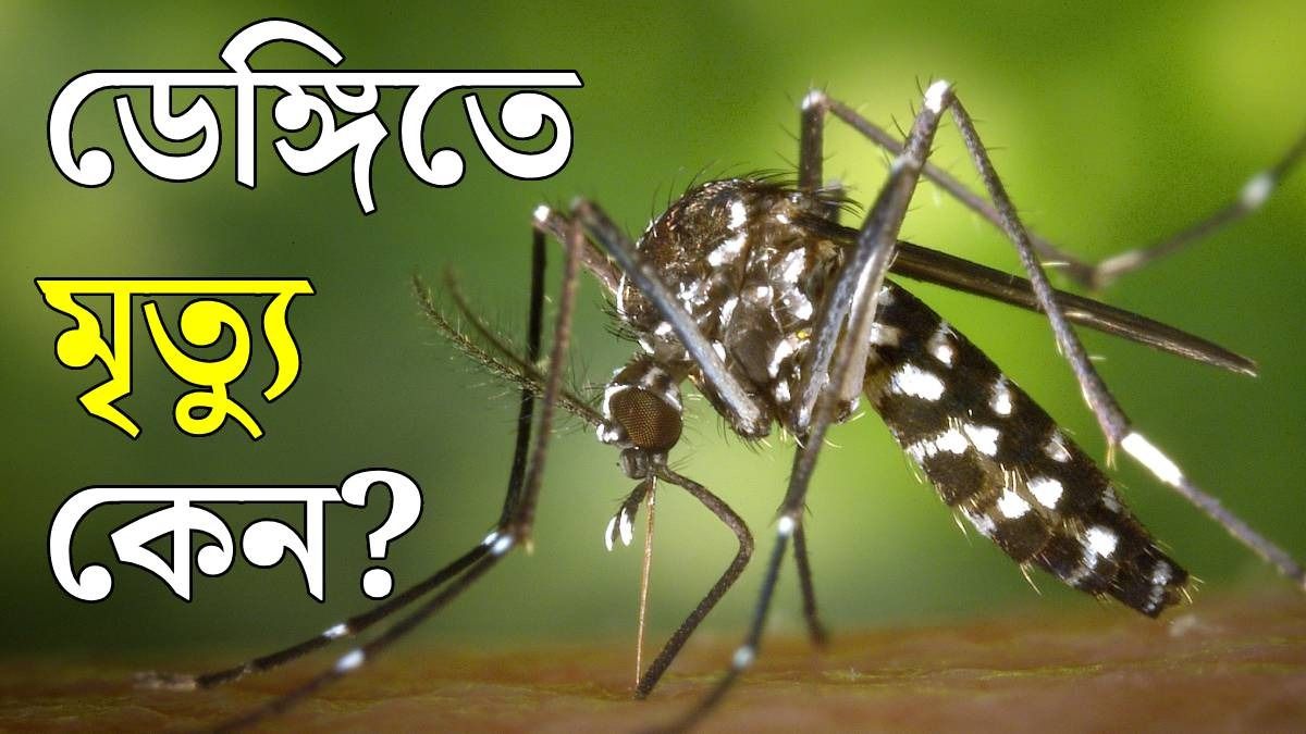 ফের ডেঙ্গিতে মৃত্যু, কেন বদলাচ্ছে না ট্রেন্ড, কোথায় সমস্যা? খোঁজ নিল bangla.aajtak.in
