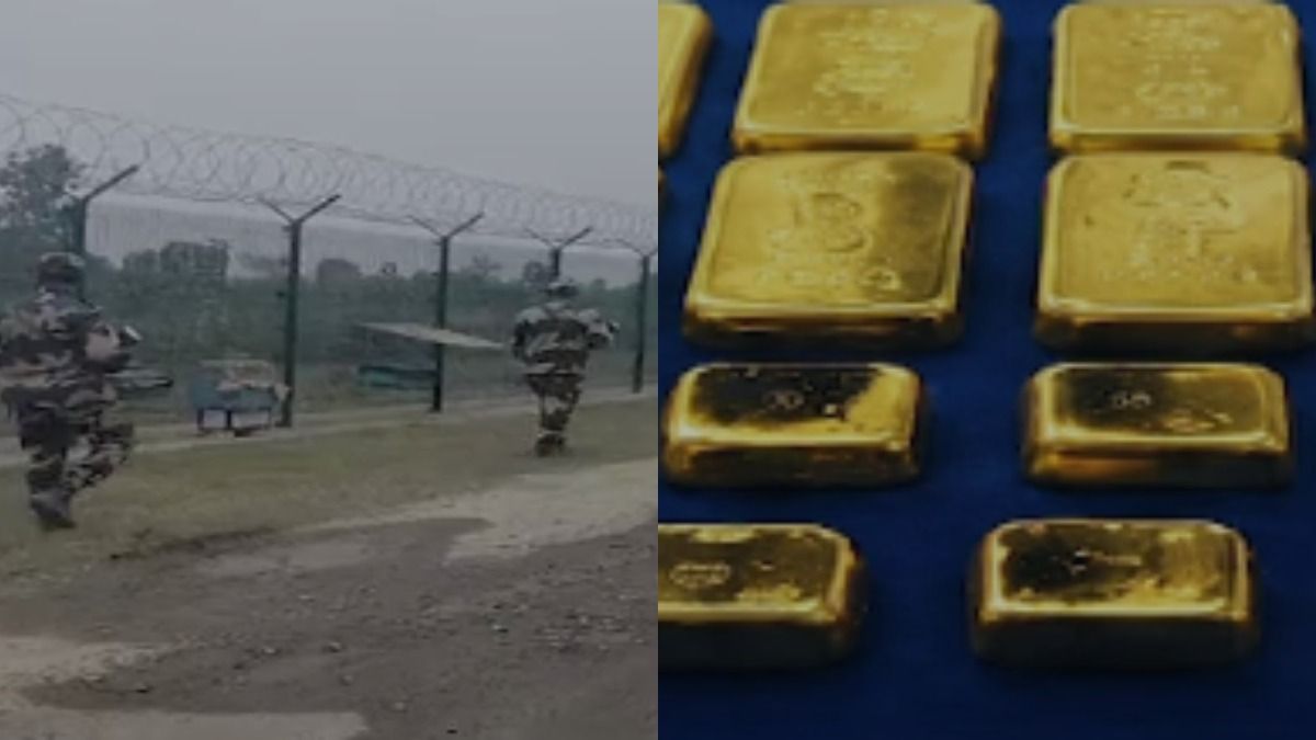 বাংলাদেশ সীমান্তে প্রায় ২৫ কোটি টাকার সোনা উদ্ধার, BSF-র হাতে ধৃত মহিলা