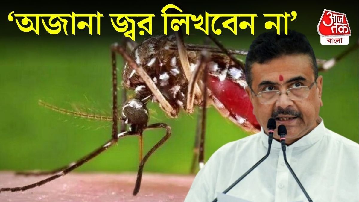 'ডেঙ্গিকে ডেঙ্গিই লিখবেন, অজানা জ্বর নয়,' ডাক্তারদের স্পষ্ট বার্তা মুখ্যমন্ত্রীর 