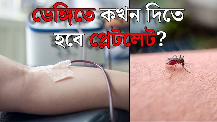 ডেঙ্গিতে প্লেটলেট কাউন্ট (ছবি: পিক্সেলস)