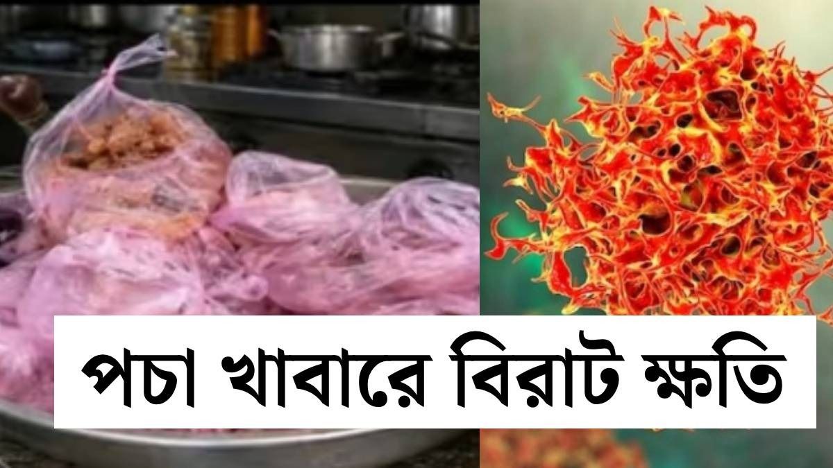 পচা খাবার